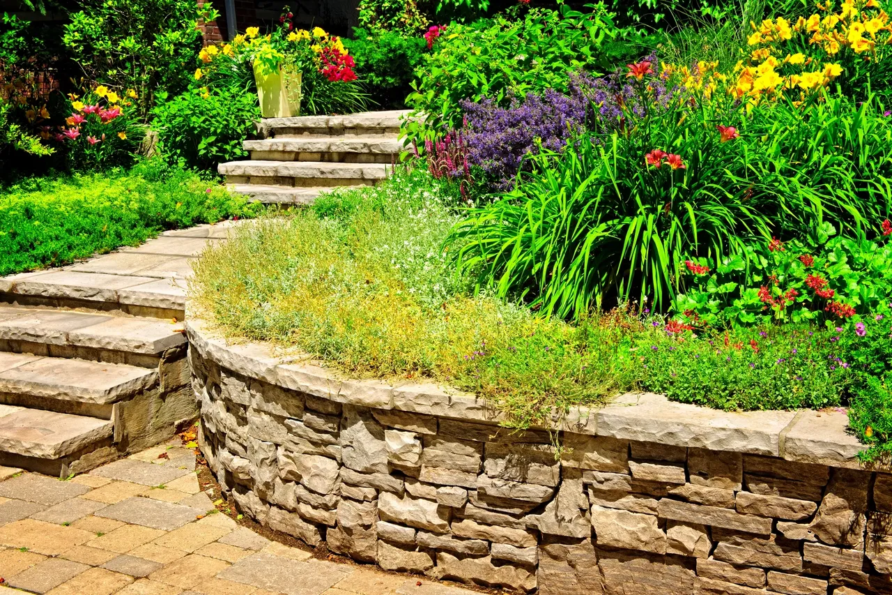 Low-Maintenance Garden Ideas for Busy Homeowners